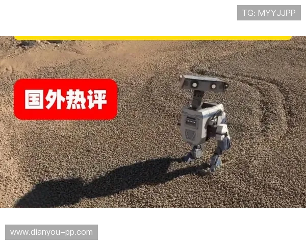 菲尔直播首秀引爆全网,精彩互动全程高能不断 菲尔直播首秀引爆全网,精彩互动全程高能不断